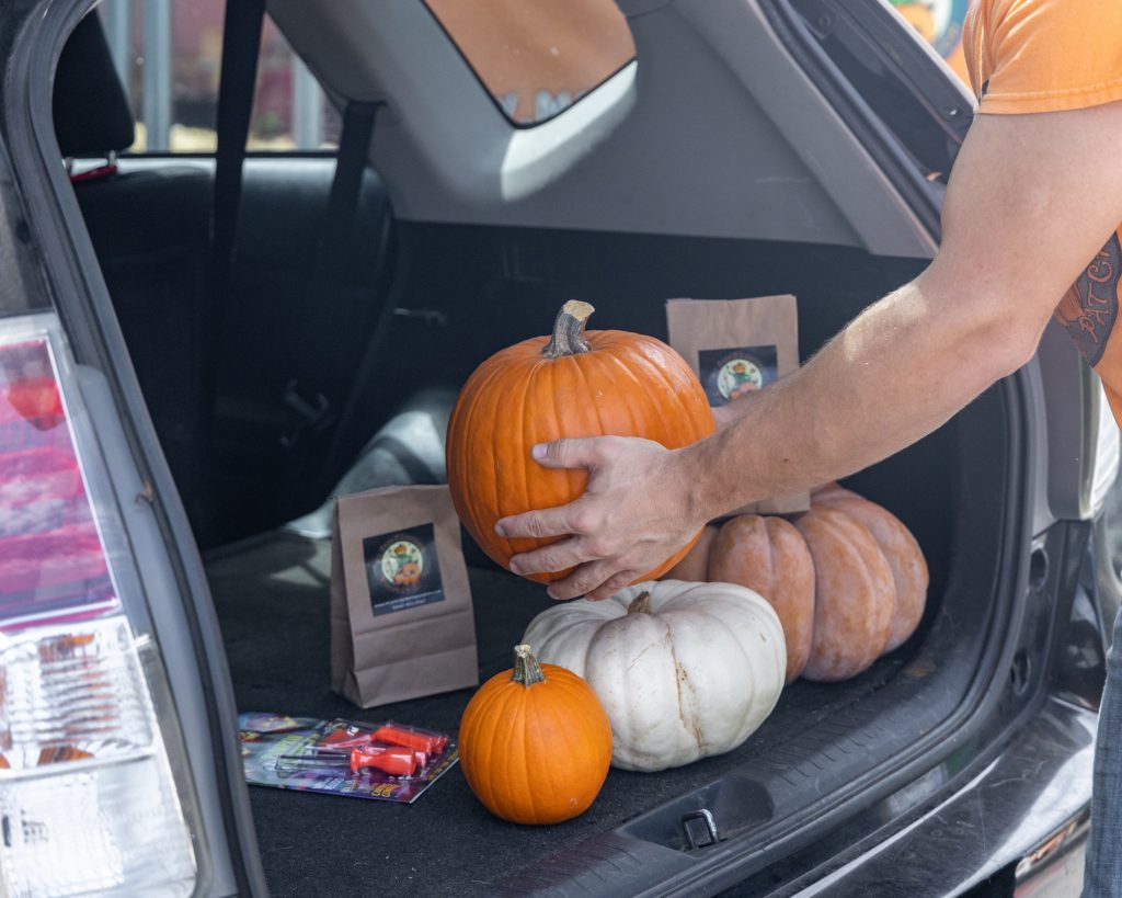 Pumpkins loaded in car